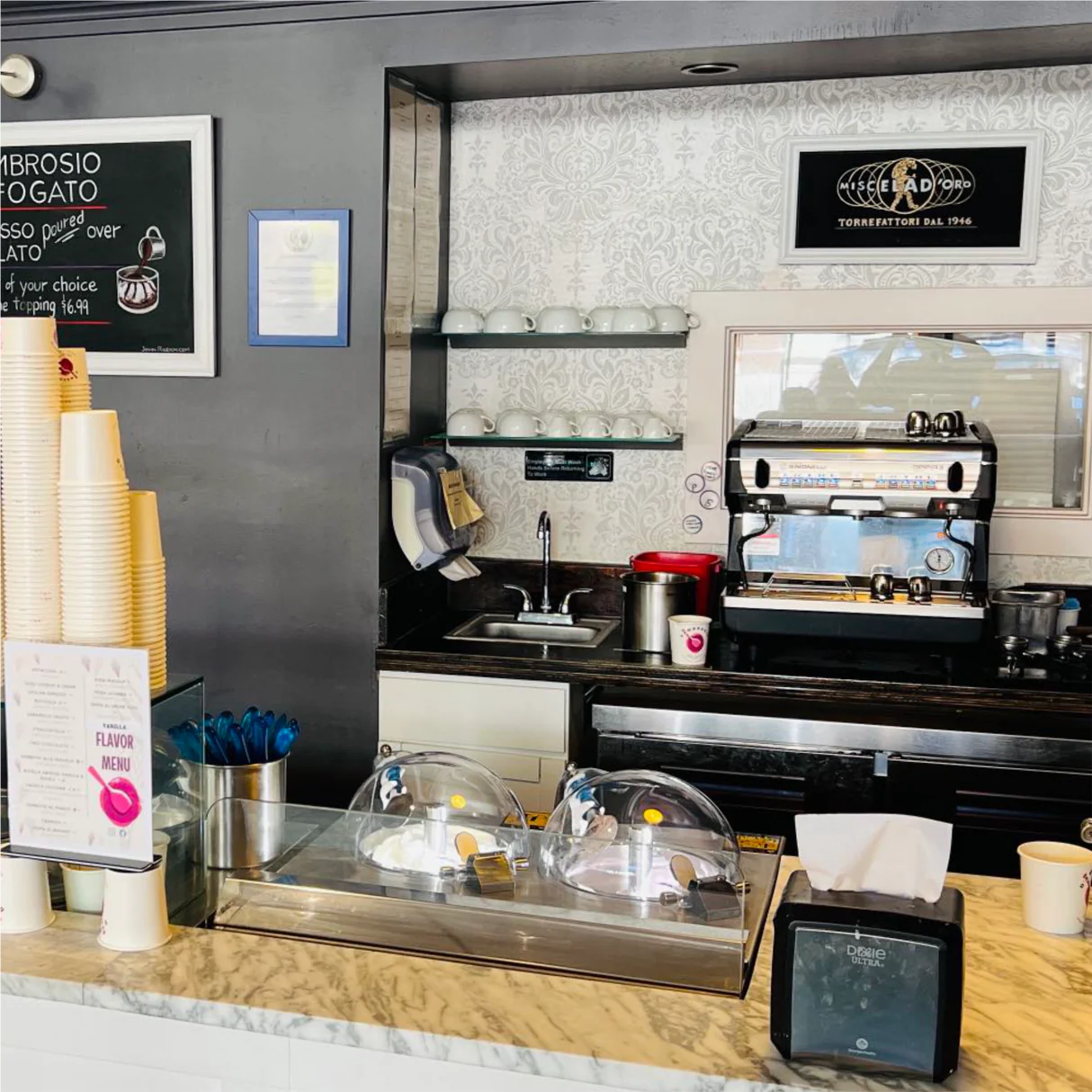 Top Churn V2 Dual Pot Countertop Ice Cream Display Machine | Two Flavors